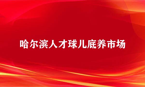 哈尔滨人才球儿底养市场