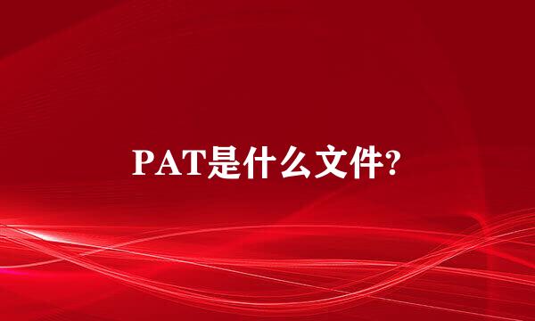 PAT是什么文件?