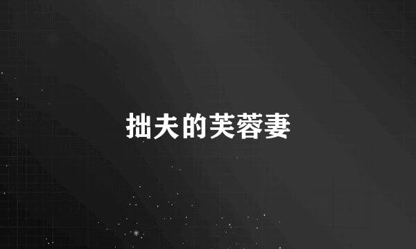 拙夫的芙蓉妻