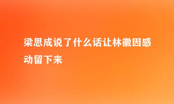 梁思成说了什么话让林徽因感动留下来