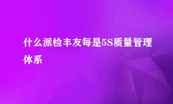 什么派检丰友每是5S质量管理体系