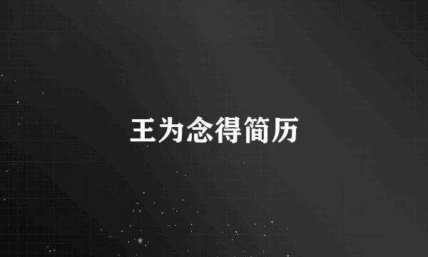 王为念得简历