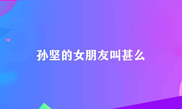 孙坚的女朋友叫甚么