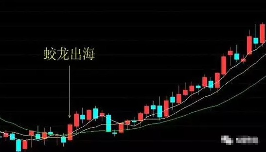 蛟龙出海什么意思