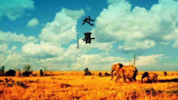 关来自于“处暑”的古诗