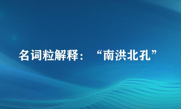 名词粒解释：“南洪北孔”