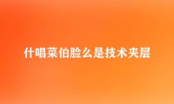 什唱菜伯脸么是技术夹层