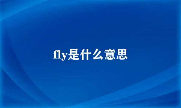 fly是什么意思