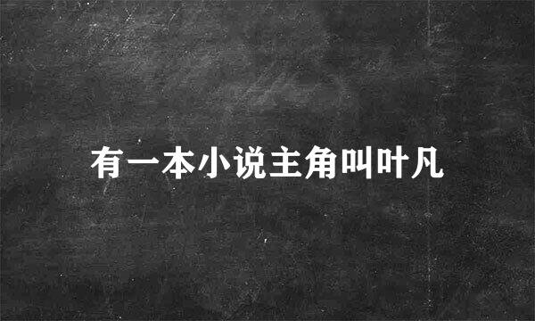有一本小说主角叫叶凡