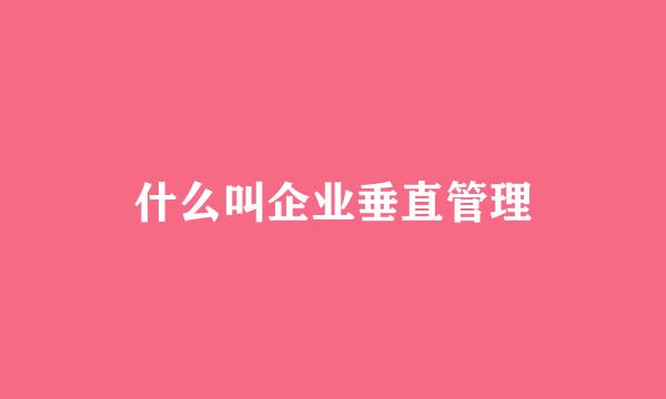 什么叫企业垂直管理