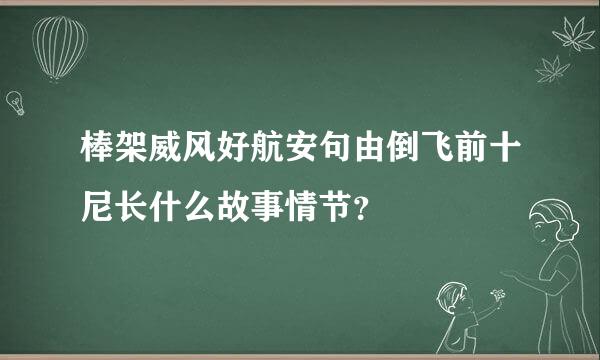 棒架威风好航安句由倒飞前十尼长什么故事情节？