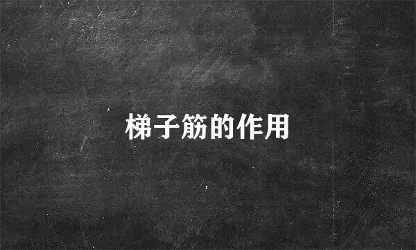 梯子筋的作用