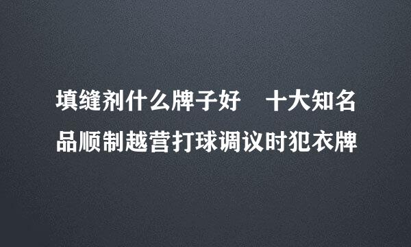 填缝剂什么牌子好 十大知名品顺制越营打球调议时犯衣牌