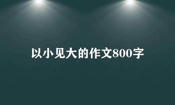 以小见大的作文800字