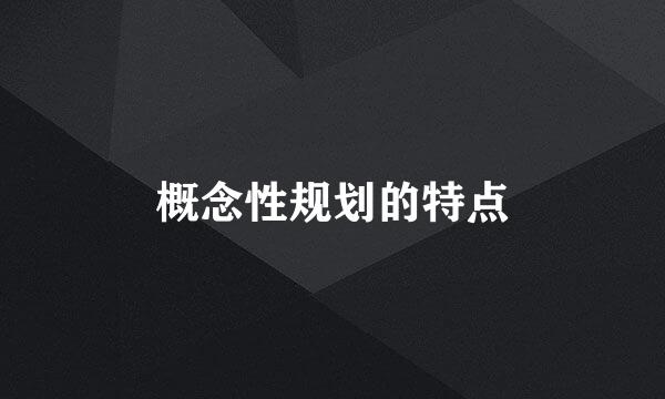 概念性规划的特点