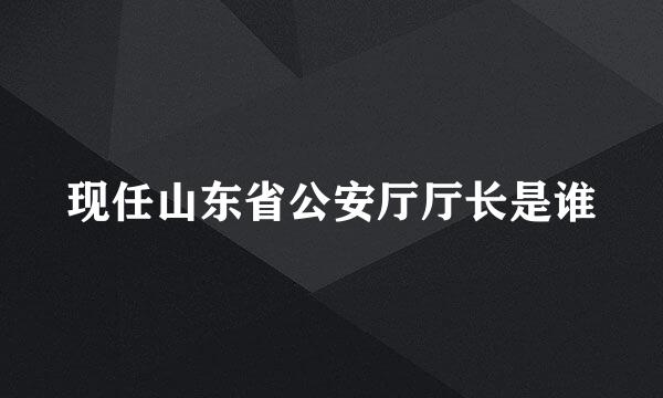 现任山东省公安厅厅长是谁