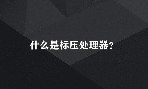 什么是标压处理器？