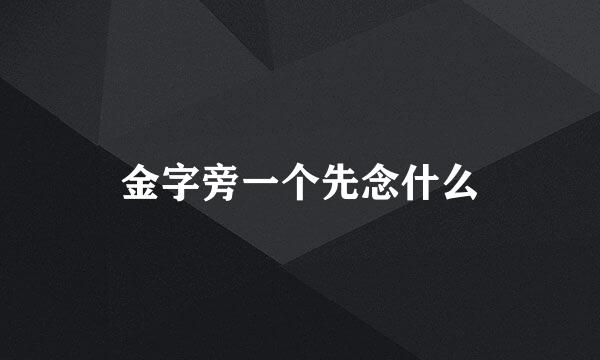 金字旁一个先念什么