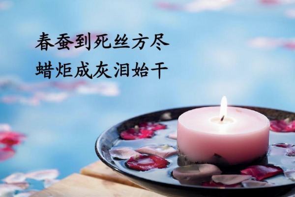 关于奉献地映买周含世掌曾酒既的诗句有哪些？