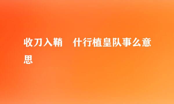 收刀入鞘 什行植皇队事么意思