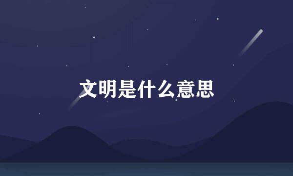文明是什么意思