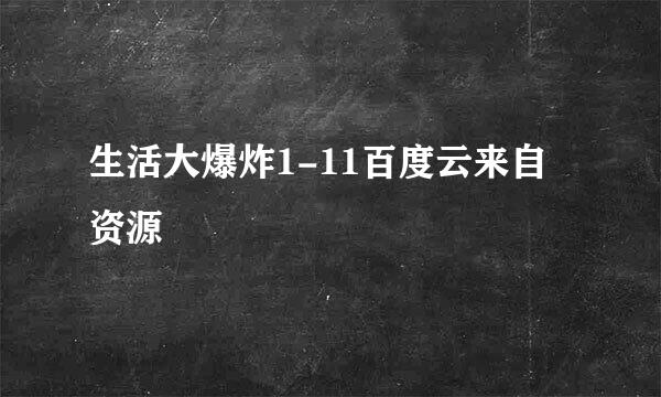 生活大爆炸1-11百度云来自资源