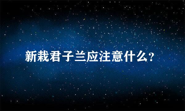 新栽君子兰应注意什么？