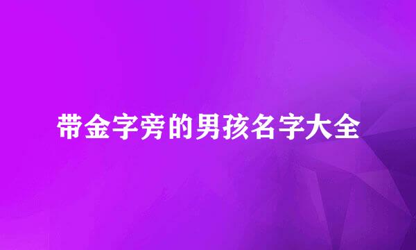带金字旁的男孩名字大全