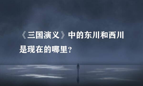 《三国演义》中的东川和西川是现在的哪里？