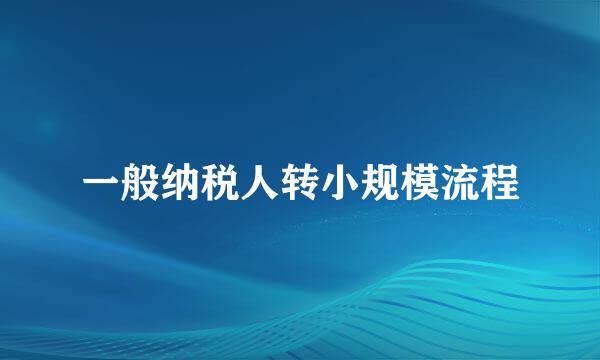一般纳税人转小规模流程