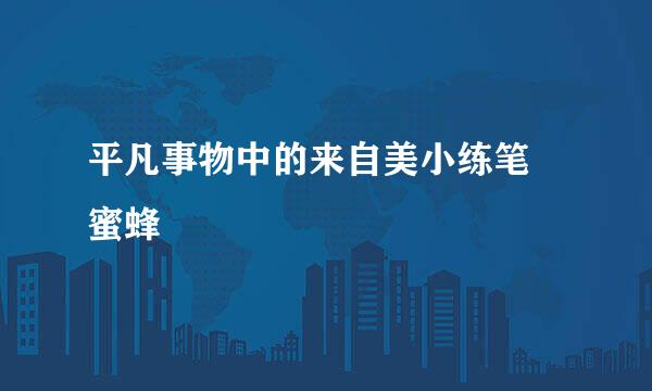 平凡事物中的来自美小练笔 蜜蜂