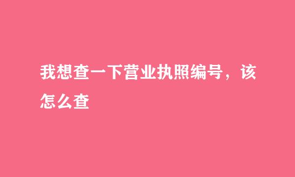 我想查一下营业执照编号，该怎么查