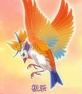 小花仙动画片全集爱奇艺中所有花精灵王图片资料