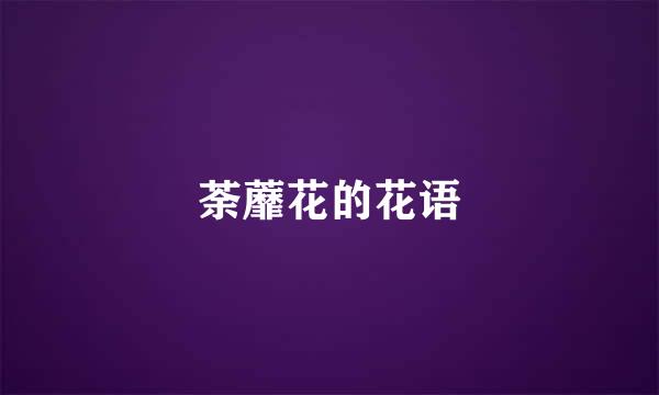 荼蘼花的花语