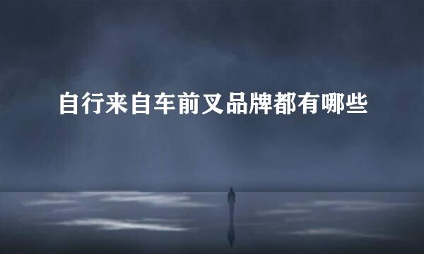 自行来自车前叉品牌都有哪些
