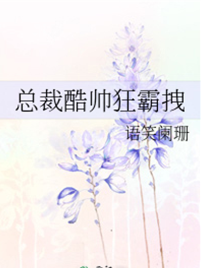 求 总裁酷帅狂霸拽全加番外 百度云txt 谢谢