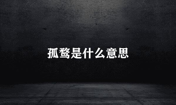 孤鹜是什么意思
