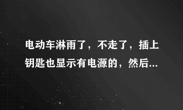 电动车淋雨了，不走了，插上钥匙也显示有电源的，然后按着修复健它也走，怎么回事？来自是一玲电动车。自行车