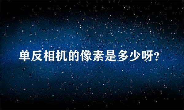 单反相机的像素是多少呀？