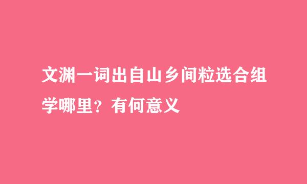 文渊一词出自山乡间粒选合组学哪里？有何意义
