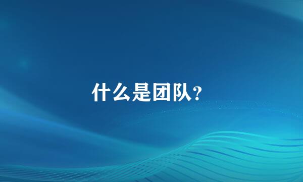 什么是团队？