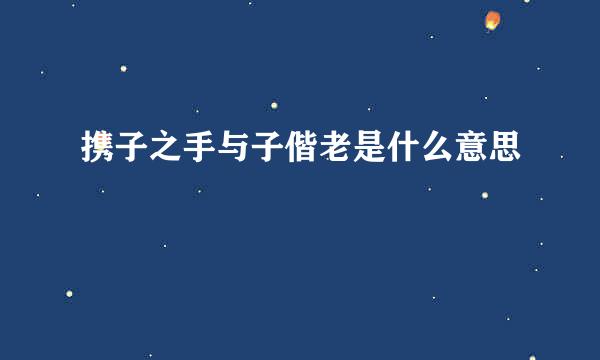 携子之手与子偕老是什么意思
