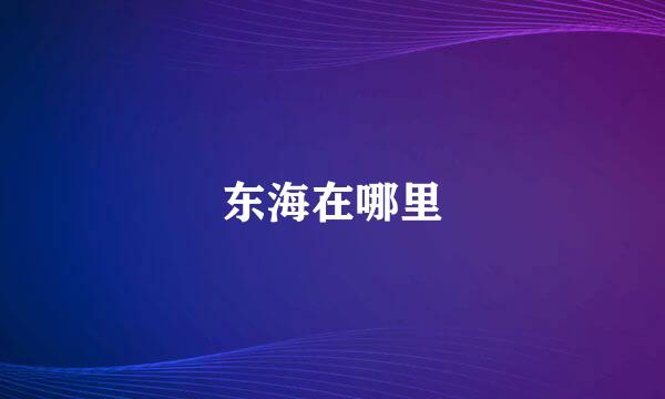 东海在哪里