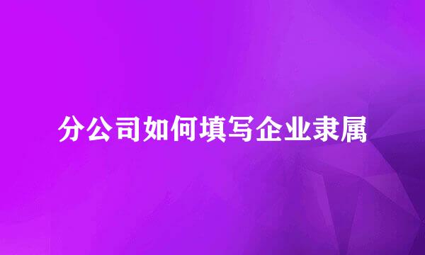 分公司如何填写企业隶属