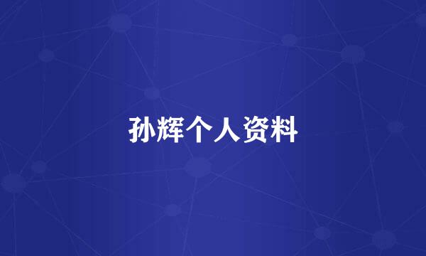 孙辉个人资料
