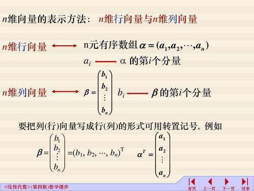 n维单位列向量是什么