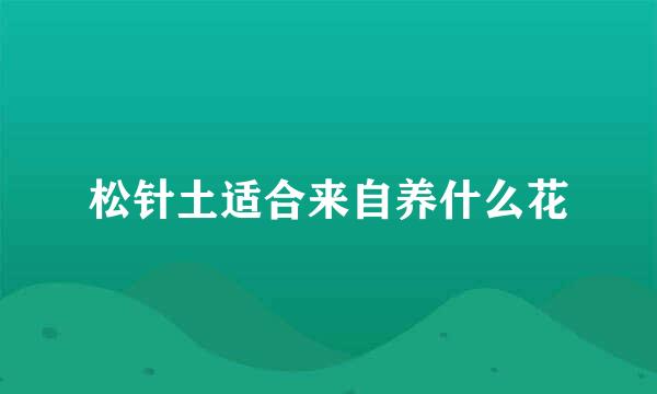 松针土适合来自养什么花