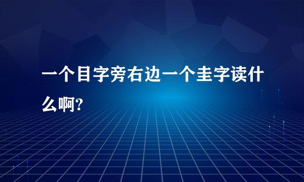 一个目字旁右边一个圭字读什么啊?