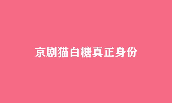 京剧猫白糖真正身份
