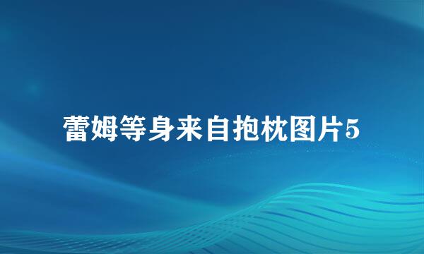 蕾姆等身来自抱枕图片5
